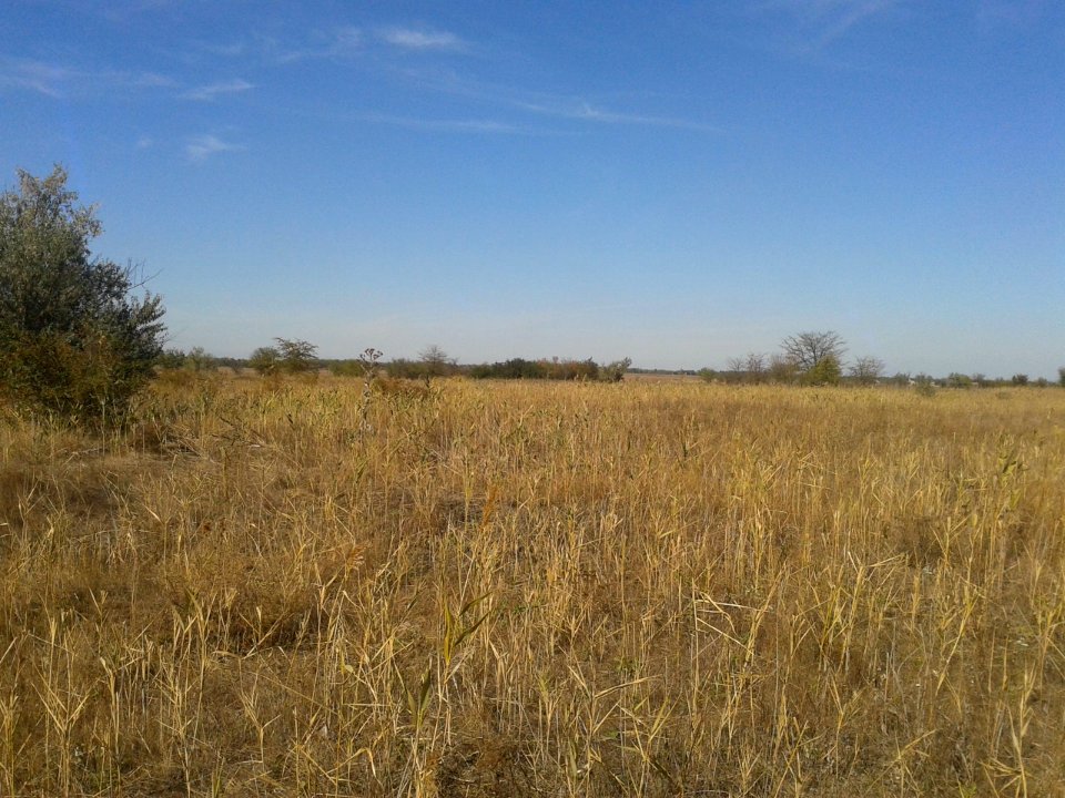 TarasovkaDz 6
