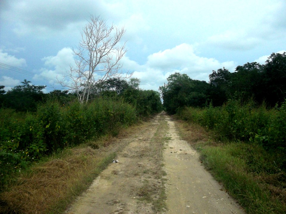 Temozón Sur, Yucatán (08)