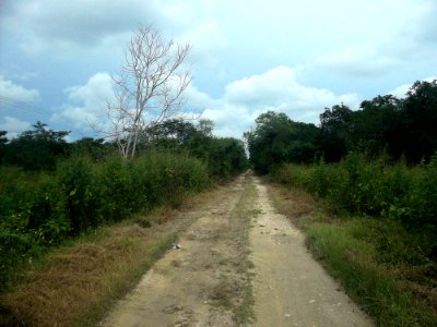 Temozón Sur, Yucatán (08)