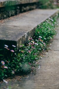 Ground outdoors stairs