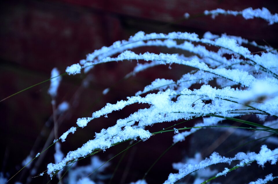 White winter weather