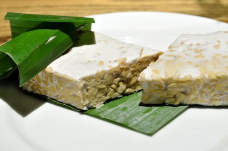 Tempeh 003