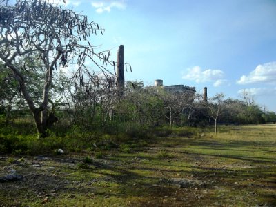 Tekat, Yucatán (02)