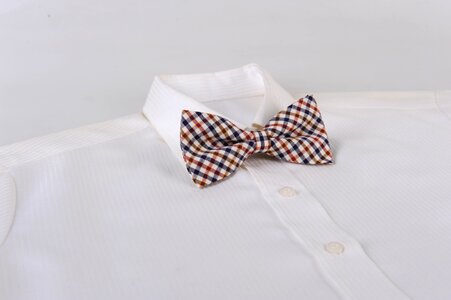 Necktie botha shirt