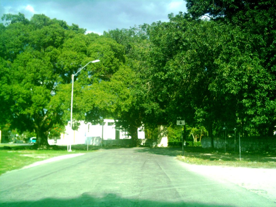 Temozón Norte, Yucatán (02)
