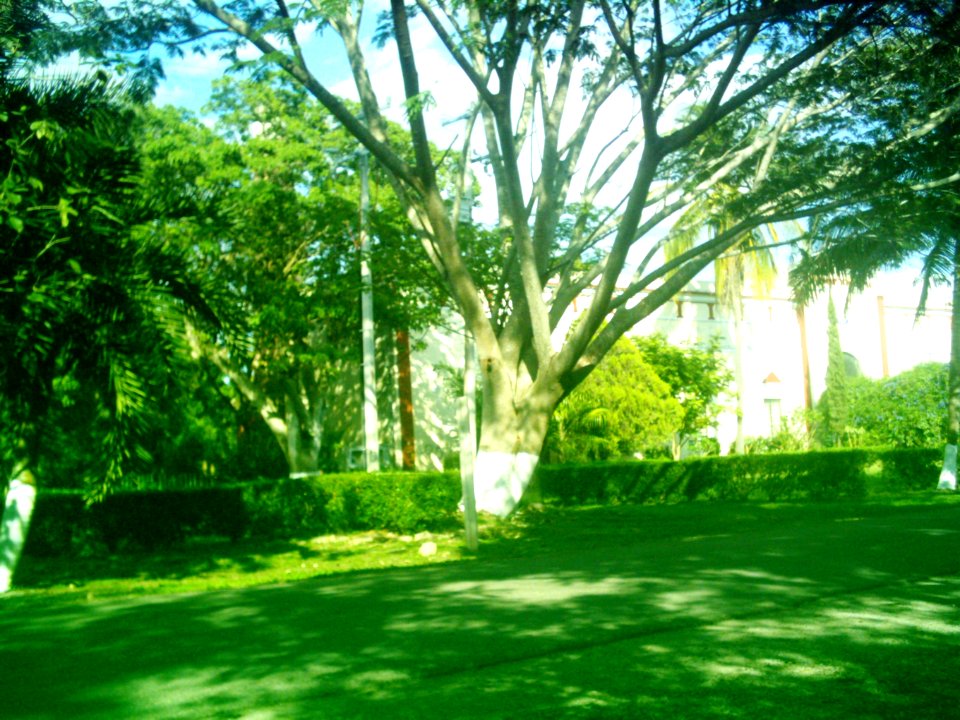 Temozón Norte, Yucatán (07)