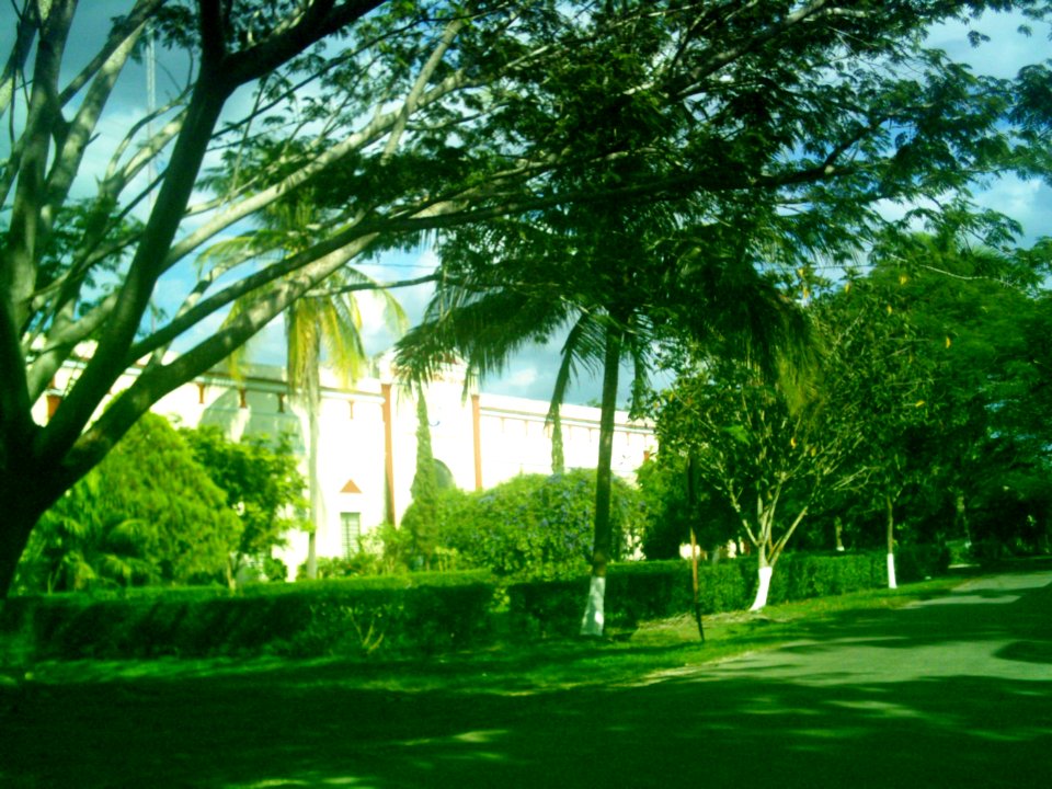Temozón Norte, Yucatán (03)