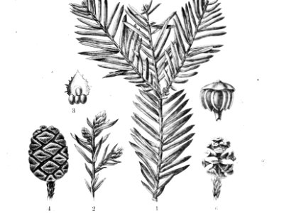 Tekening, Bestanddeelnr 193-0522