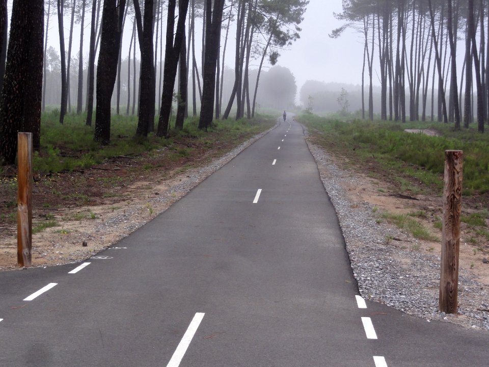 Taller (Landes) Voie verte Lo Camin de hé 04
