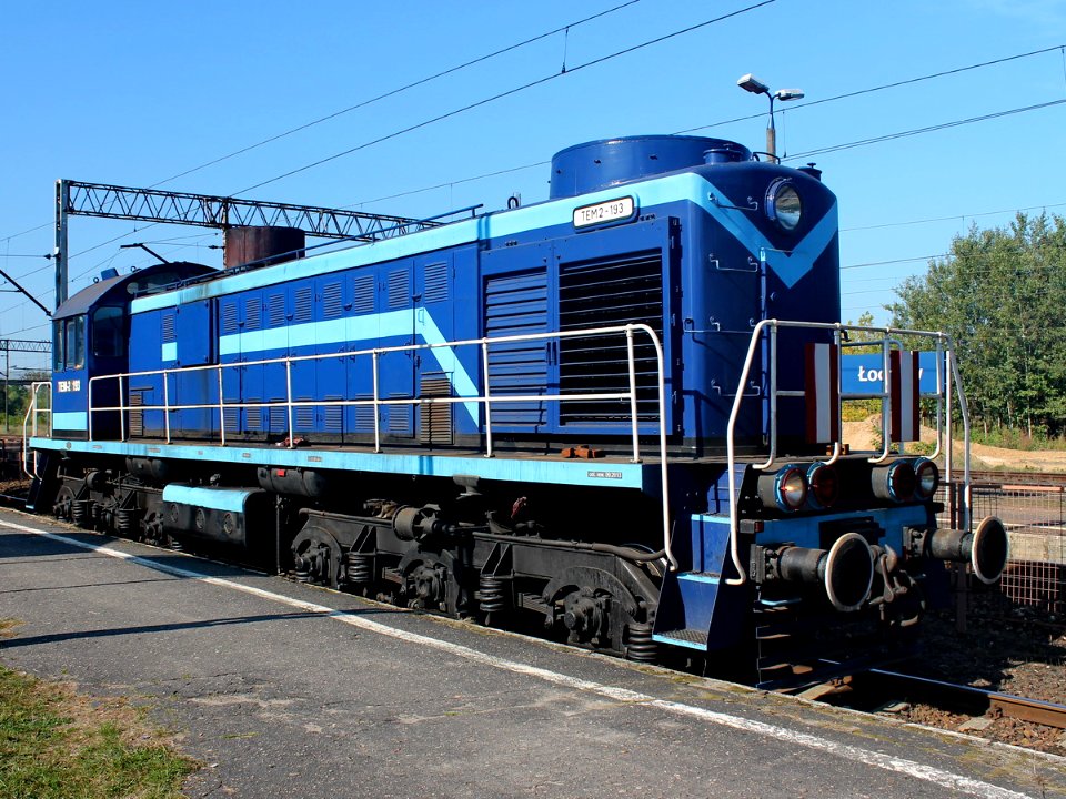 TEM2-193, Польша, Мазовецкое воеводство, станция Лохув (Trainpix 125650)