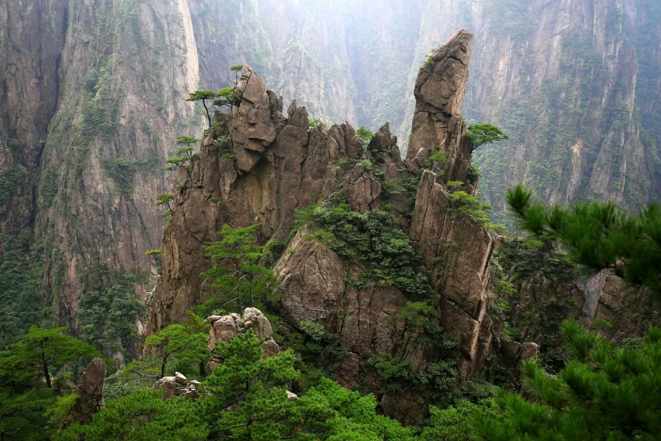 Cypress jun rock trees