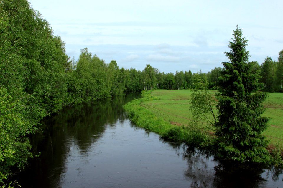 Temmesjoki Temmes 20150624