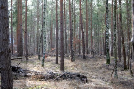 Teltowkanal-Aue 2021-02-24 13