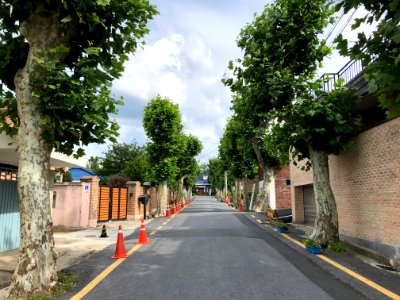 Temiorae