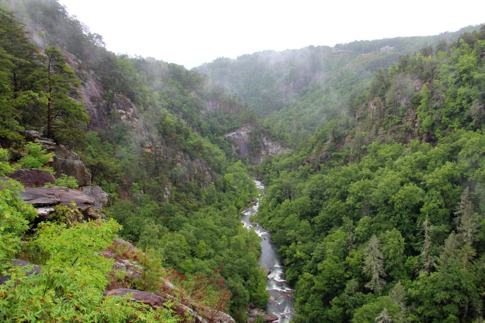 Tallulah Gorge view from an overlook, May 2017 3