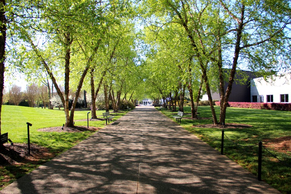 Tellus Science Museum April 2019 3