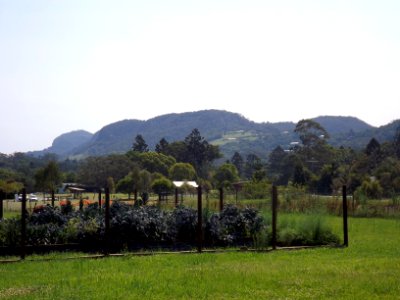 Tallebudgera Mountain from Currumbin Ecovillage at Currumbin Waters, Queensland