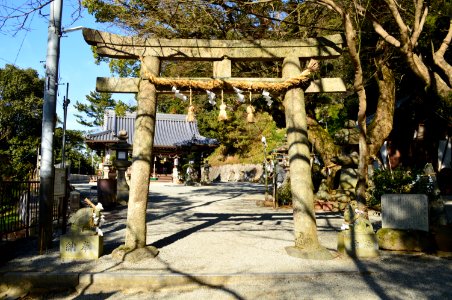 Tamanooya-jinja (Yao), torii-3