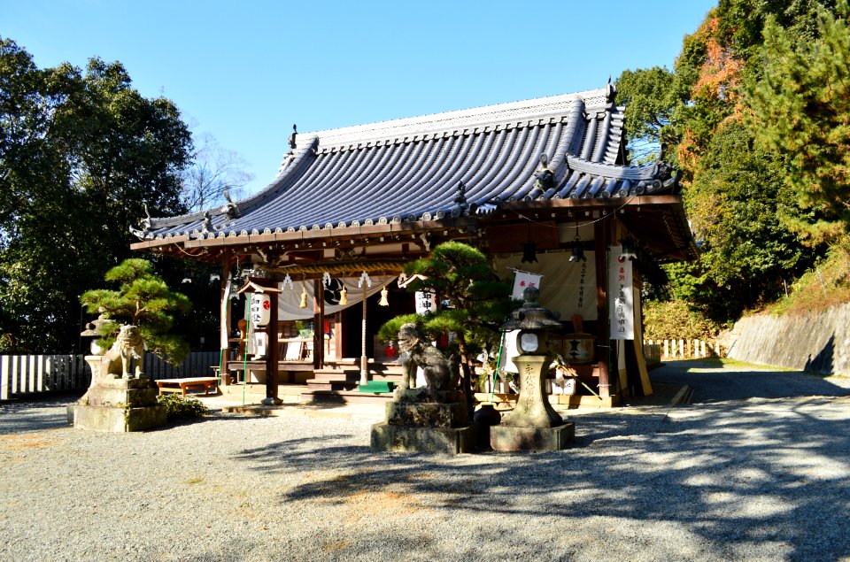 Tamanooya-jinja (Yao), haiden-2