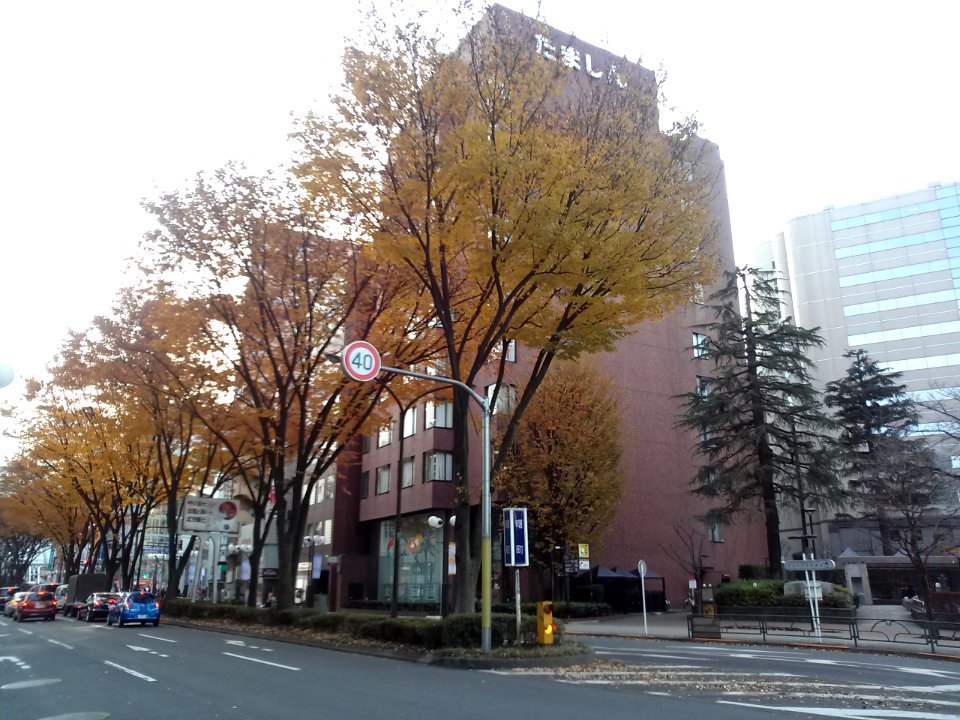 Tama Shinkin Bank head office