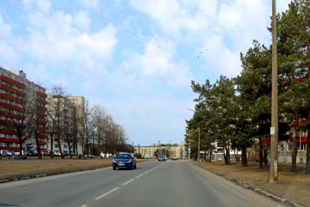 Tallinn Sutiste tee 2021