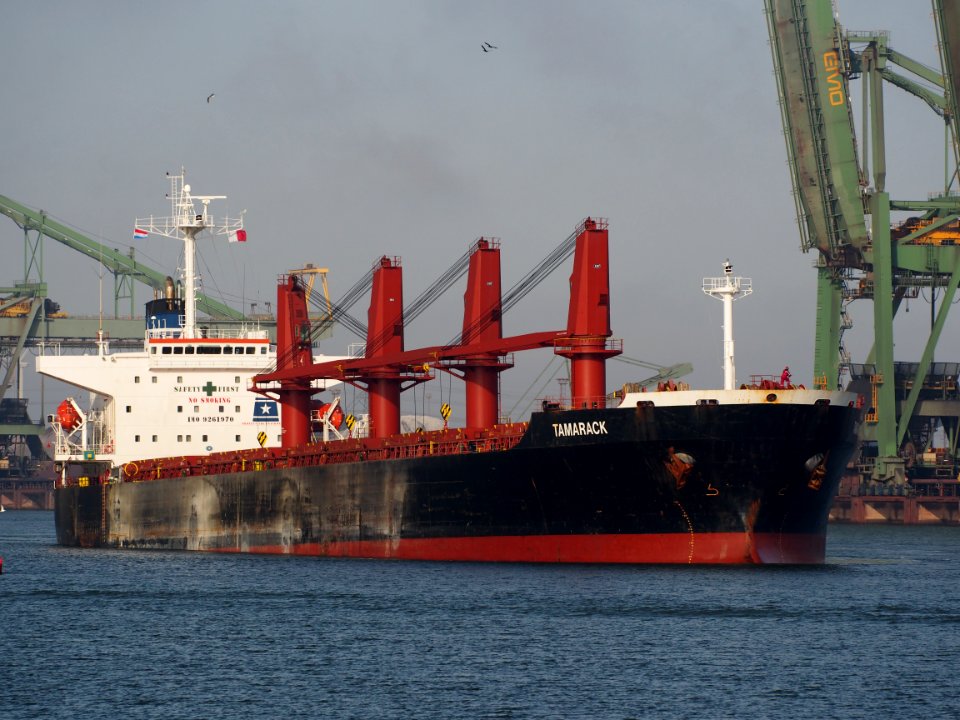 Tamarack, IMO 9261970, Callsign HOSV, Mississippihaven, Port of Rotterdam, pic1