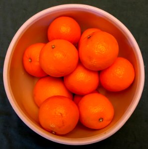 Tangerines - Massachusetts - DSC02904