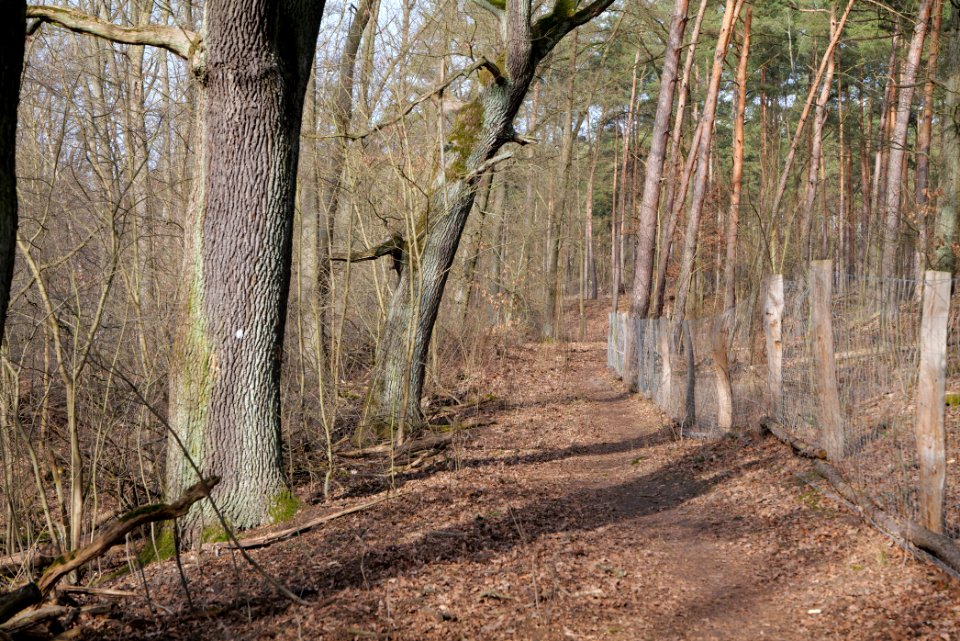 Teltowkanal-Aue 2021-02-24 44