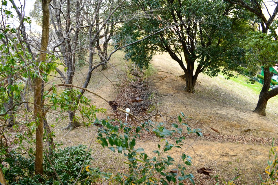 Tamateyama Kofun Group-1, zenpoubu