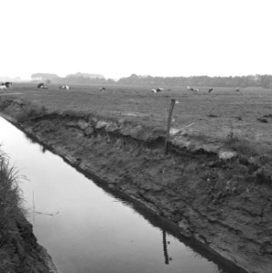 Talud links 11 rechts 12 gegraven in herfst 1962, Bestanddeelnr 162-0376