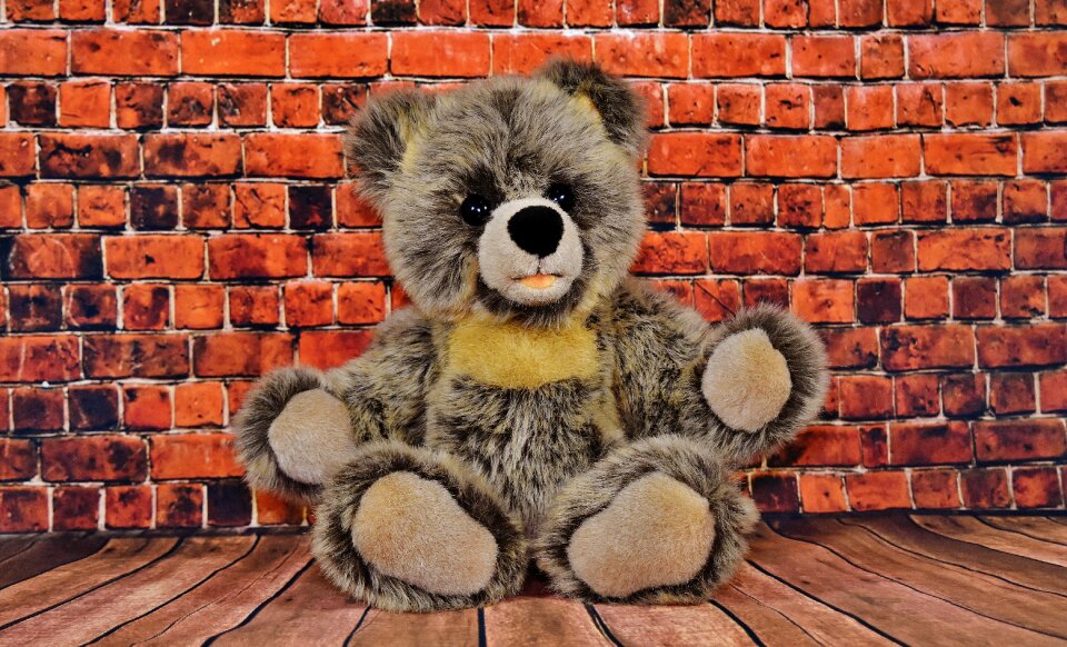Cute teddy bear stuffed animal