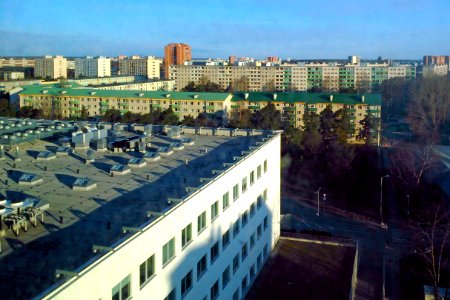 Tallinn Sütiste tee