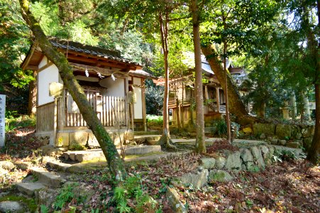 Tamanooya-jinja (Yao), keidaisha-2