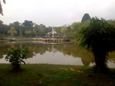 Taman Rimba Riang, Kota Damansara 04