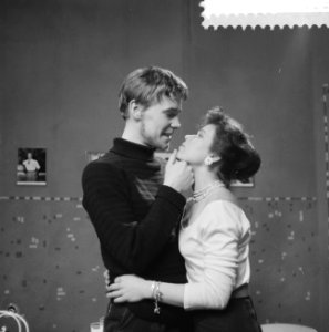Televisiespel Niks voor Ons , Hans Boswinkel en Thera Verheugen, Bestanddeelnr 911-1813