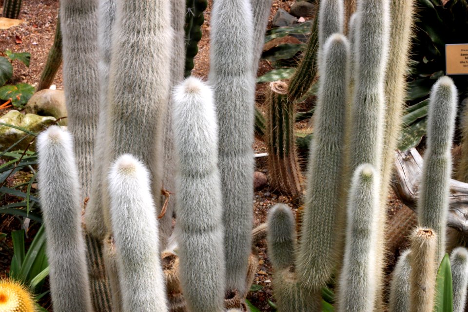 Tallinn Botanic Garden 2014