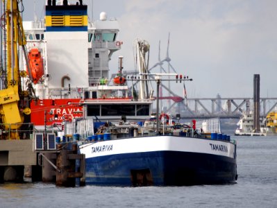 Tamariva (ship, 2001), ENI 02324933, Port of Antwerp