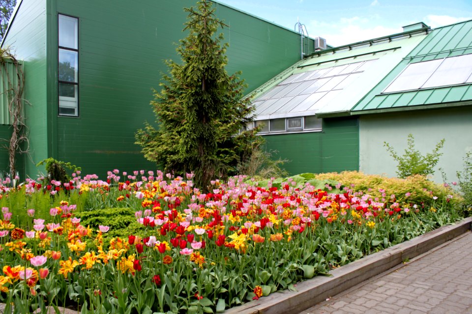Tallinn Zoo in June