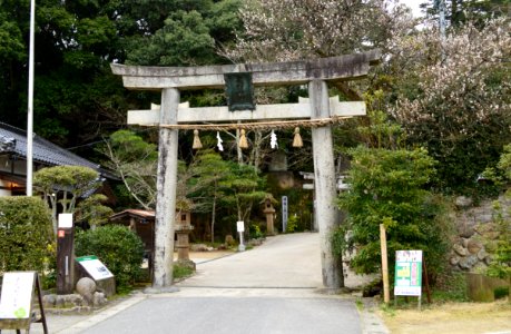 Tamatsukuriyu-jinja, torii