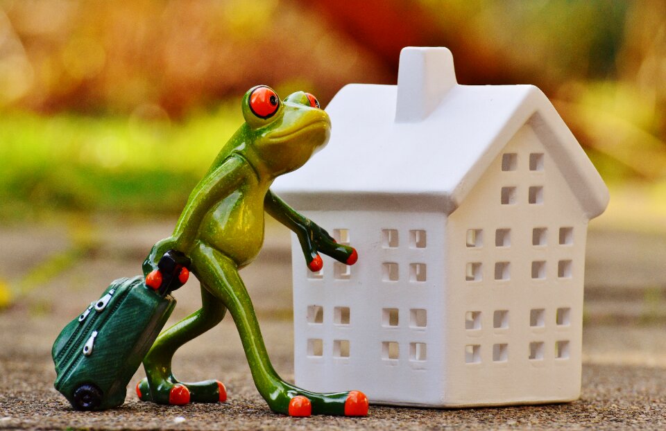 Frog luggage figure