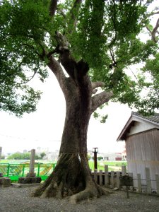 Tamata-jinja Kumiyama Kyoto 012