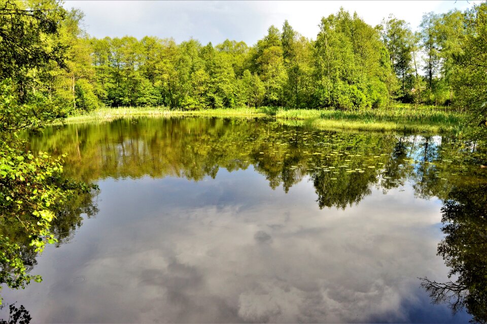Beautifully mirroring summer