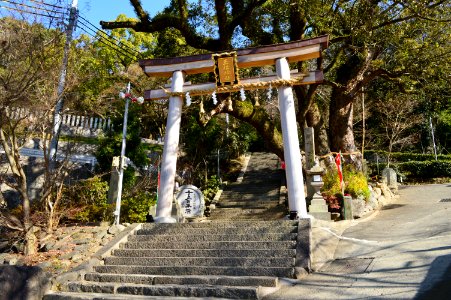 Tamanooya-jinja (Yao), torii-2