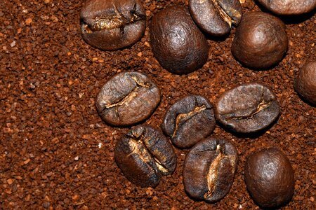 Drink benefit from coffee beans