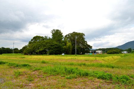 Tamba-kokubunji enkei