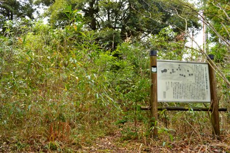 Tamawakasumikoto-jinja 8gou-fun