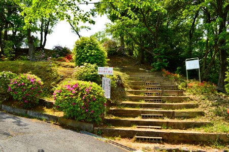 Tamateyama Kofun Group-7, entrance