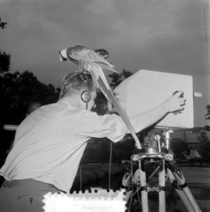 Televisieopname in Artis, Bestanddeelnr 905-2090