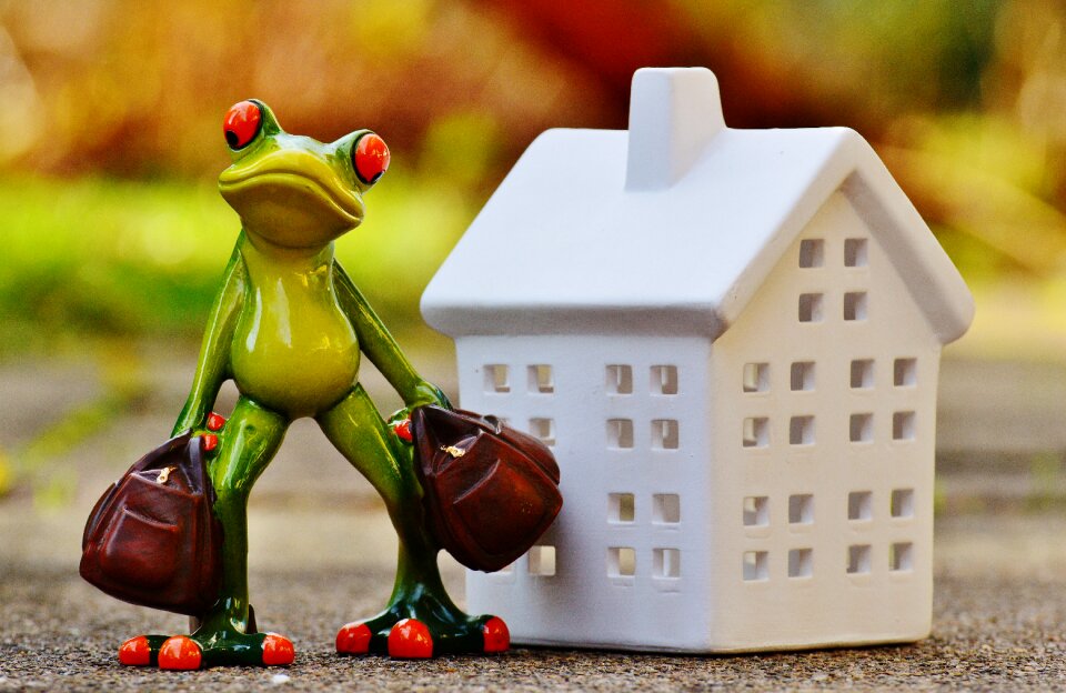 Frog luggage figure
