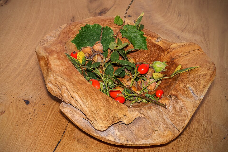 Rose hip still life nature